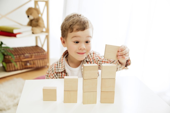 Виды детских деревянных конструкторов-головоломок