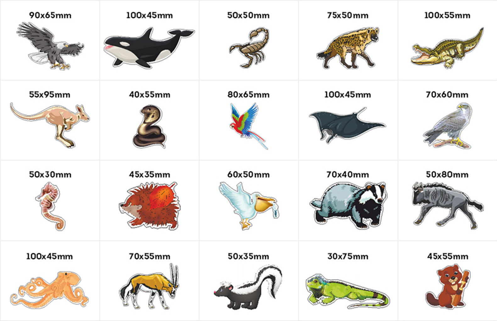 Животные названия. Карточки с животными для малышей. Животные список с картинками. Разные животные и их названия. Животные и их имена.