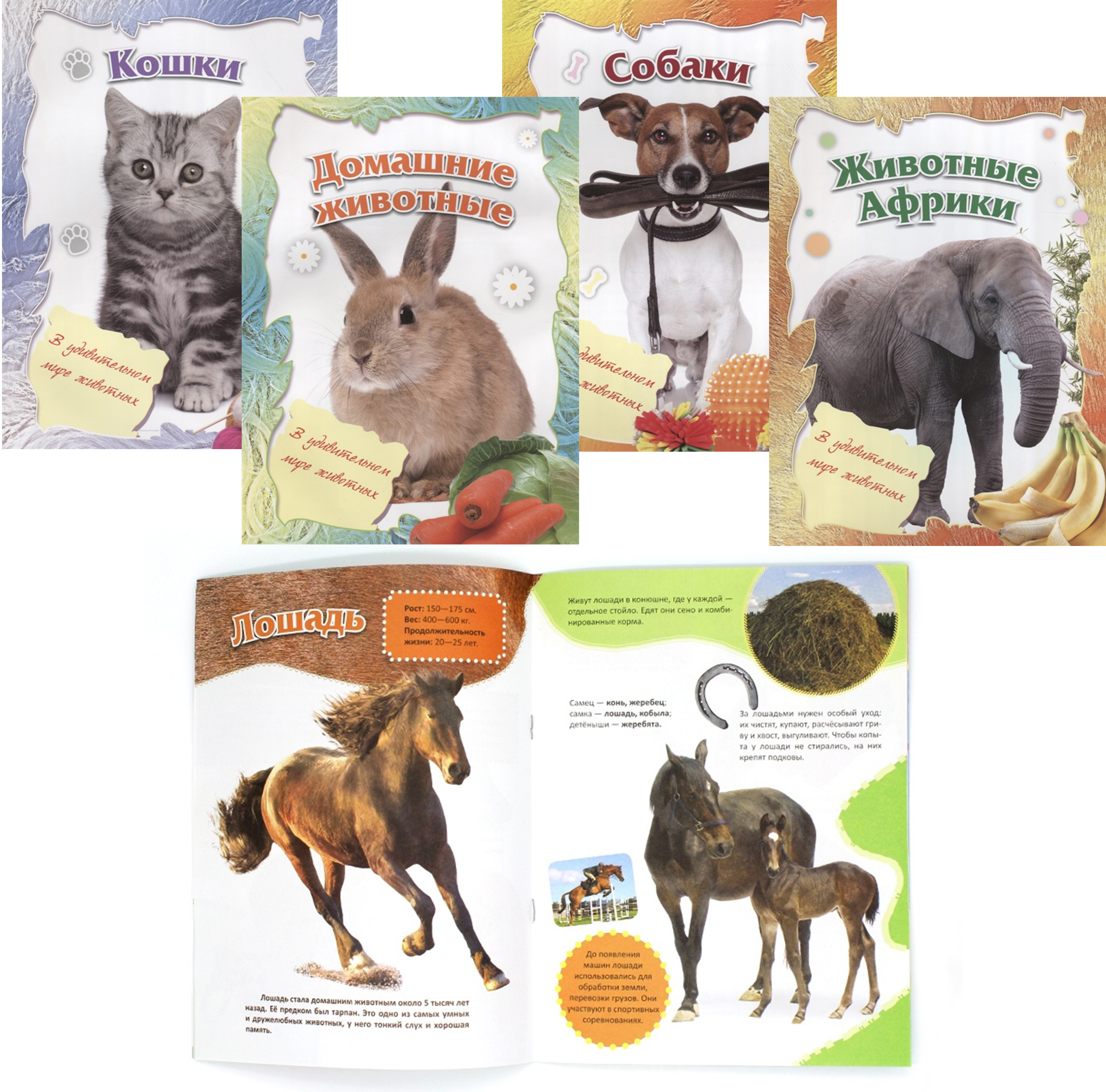 здравур для кроликов. занимательная зоология картинки. тм животное. книга дикие животные умка. занимательная зоология.