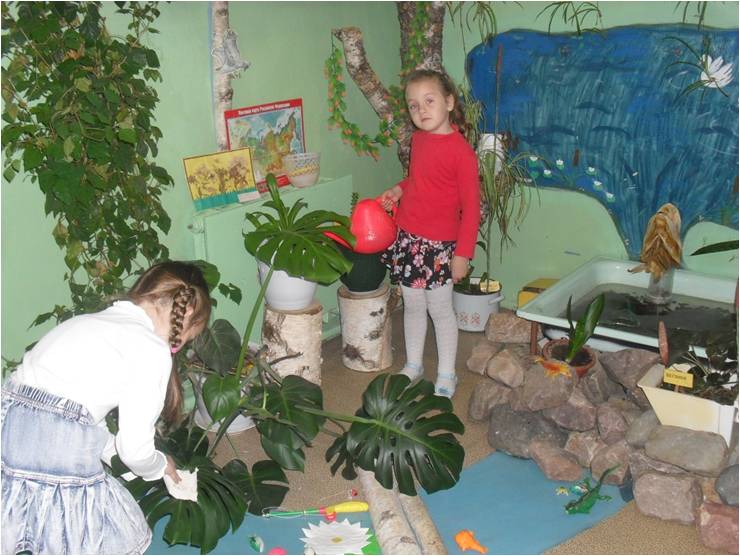 зимний сад.jpg зимний сад.jpg