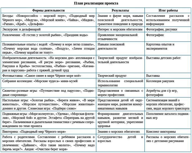 План реализации проекта План реализации проекта