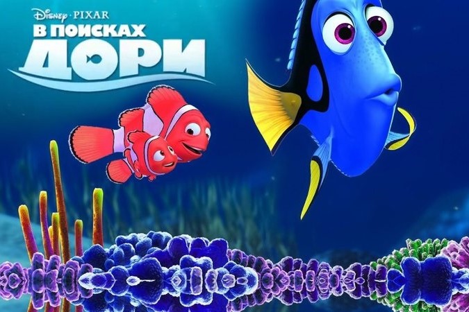 12Дори.jpg 12Дори.jpg