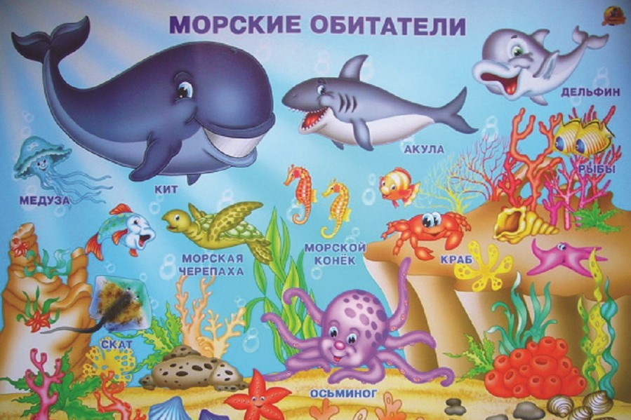 морские обитатели.jpg морские обитатели.jpg