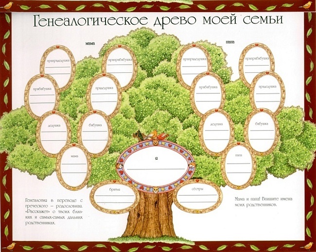Генеалогическое древо Генеалогическое древо