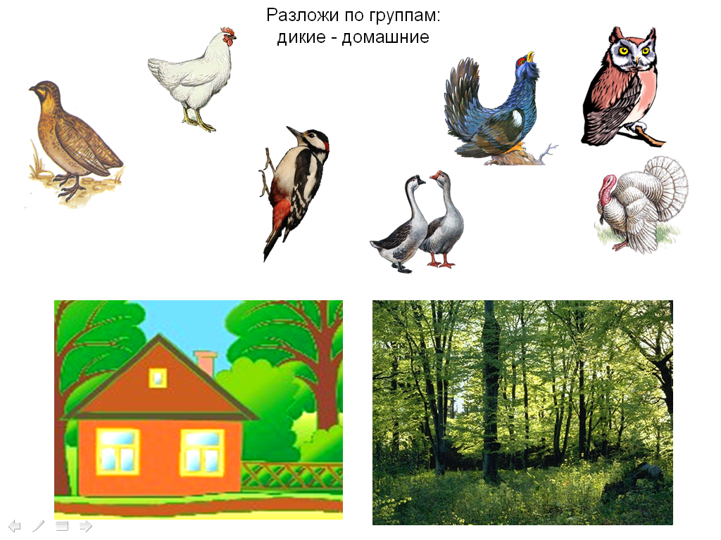 image017.png image017.png