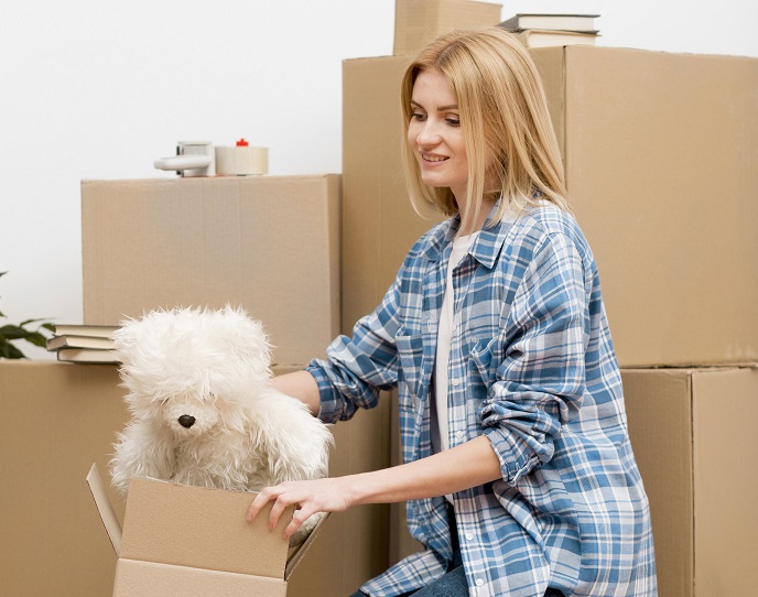 Идея импорта устарела Идея импорта устарела