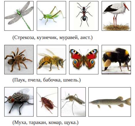 Снимок.JPG Снимок.JPG