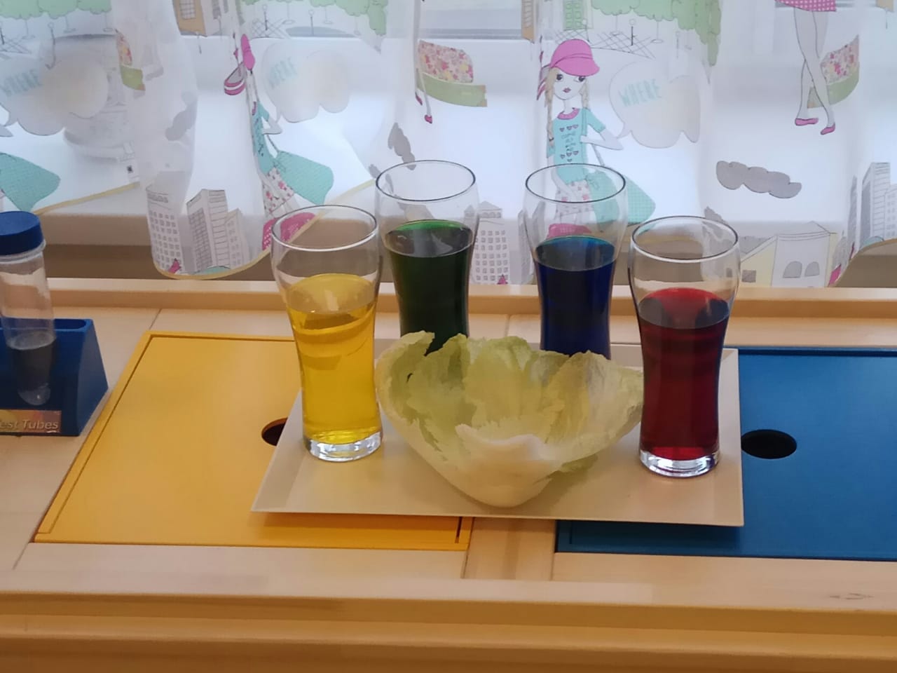 Значимость воды в природе и на Земле Значимость воды в природе и на Земле