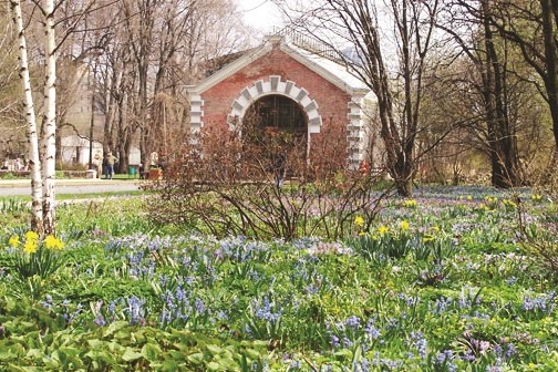 ботанический сад.jpg ботанический сад.jpg