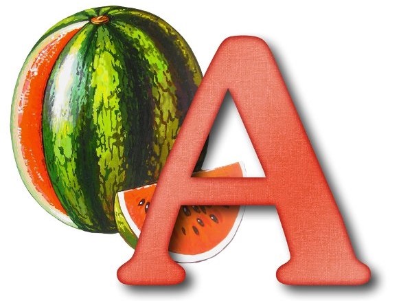 a1.jpg a1.jpg
