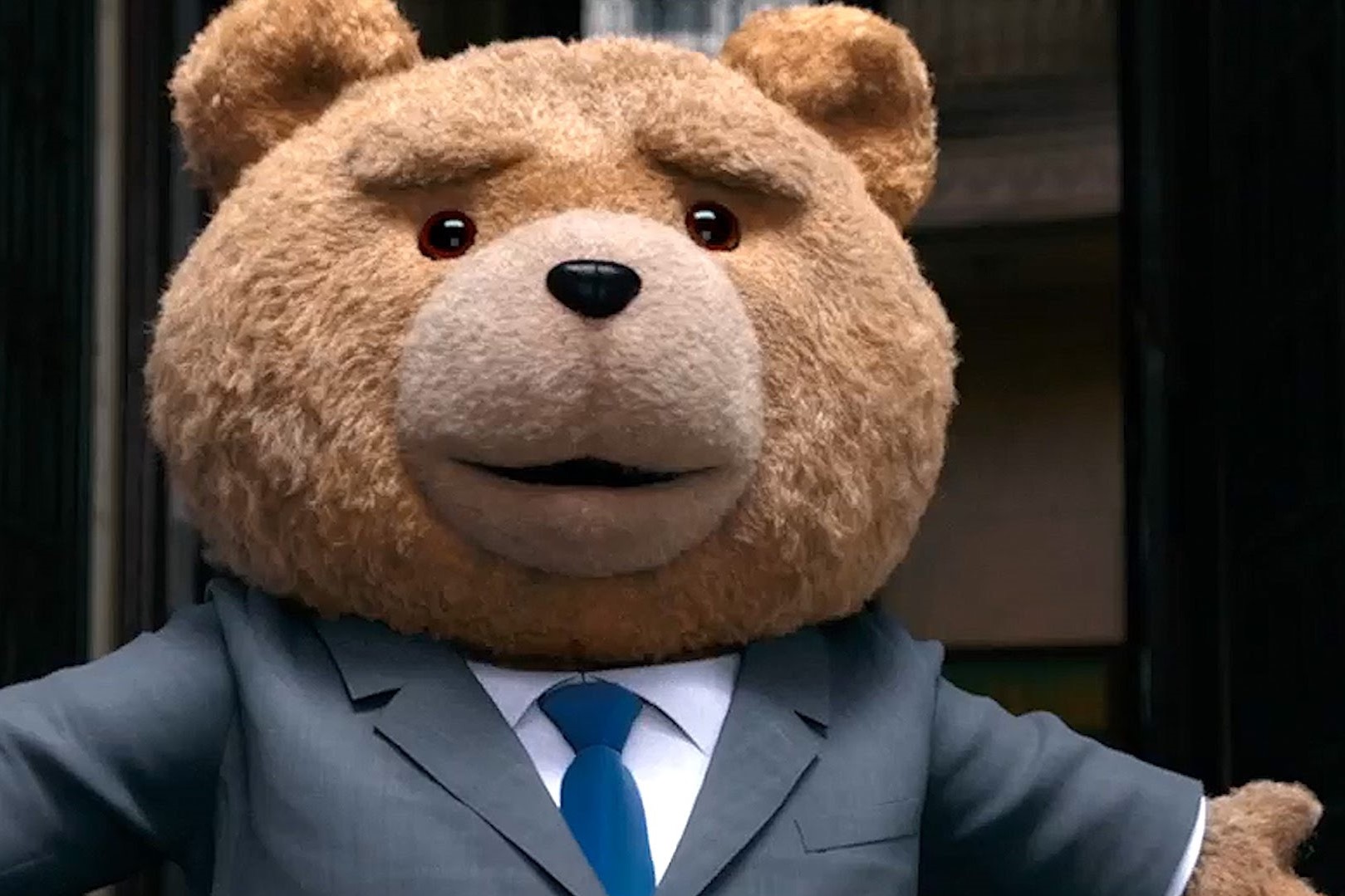 Медвежонок Тедди пришёл в суд