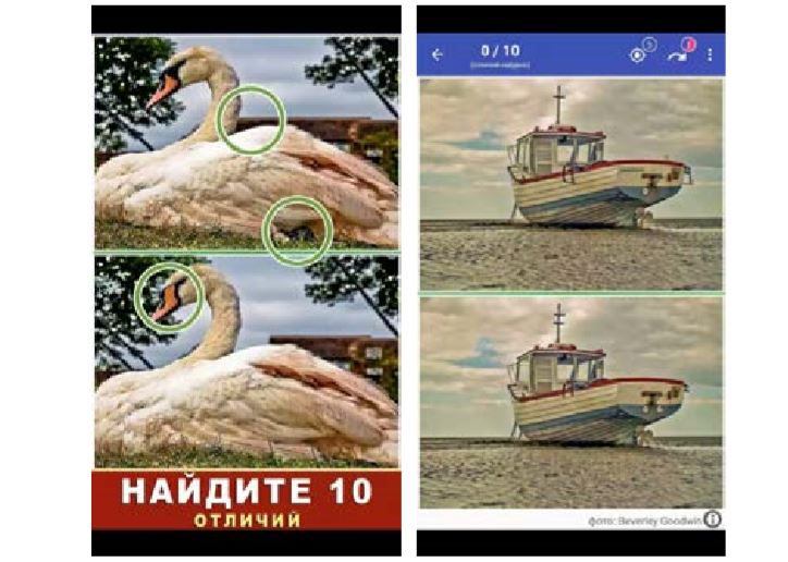 Найди отличия Найди отличия
