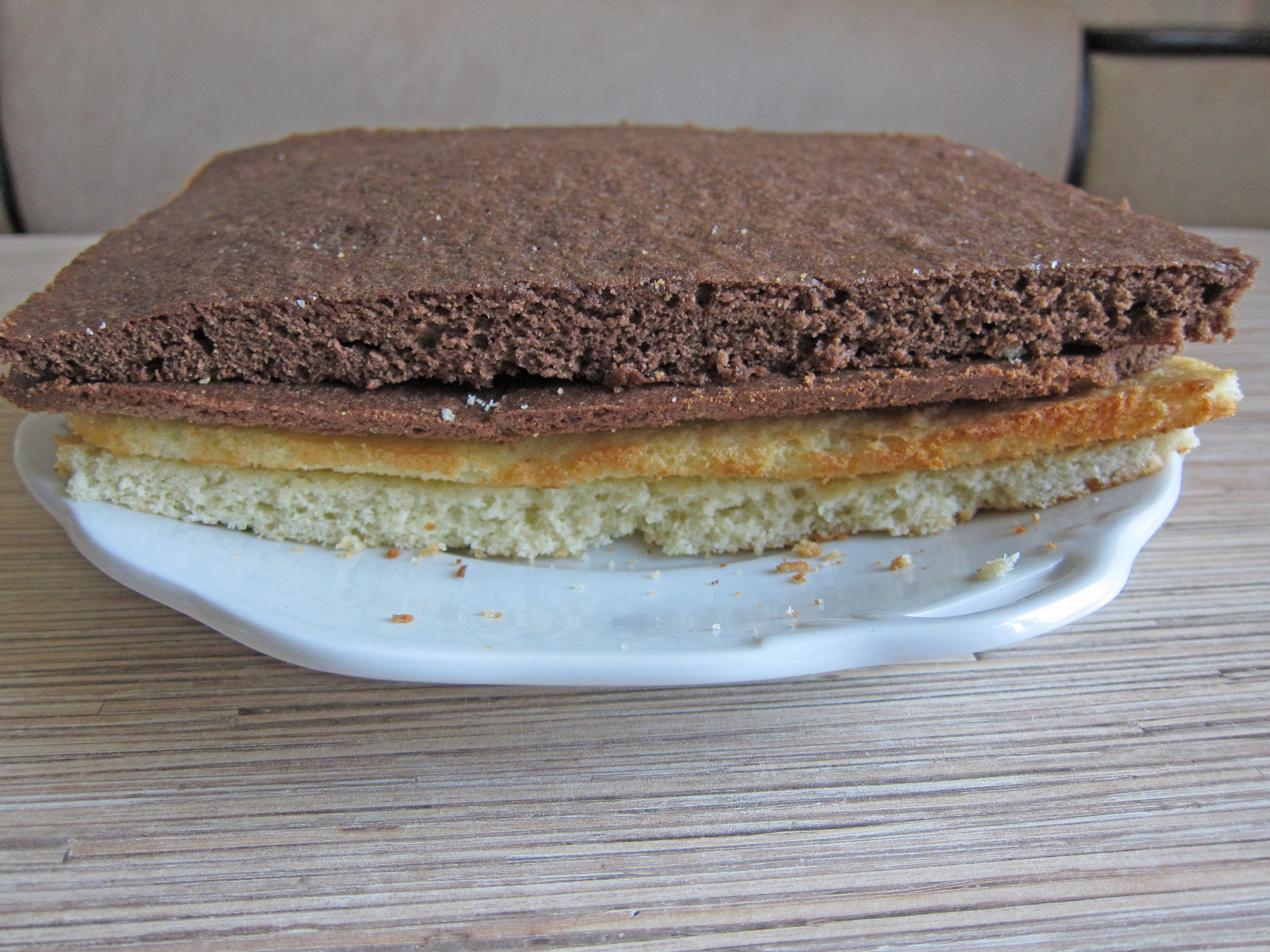 tort-12.jpg tort-12.jpg