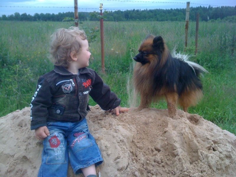 Мой любимый питомец Мой любимый питомец