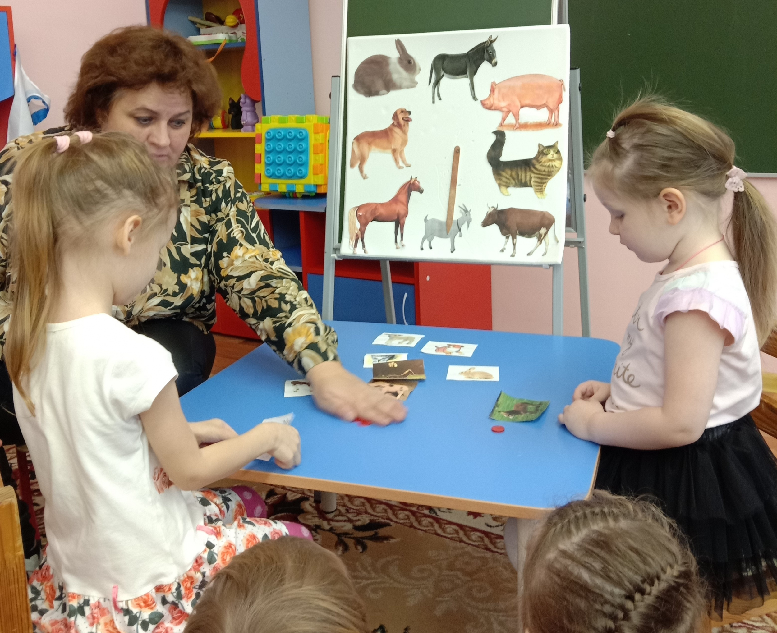 Домашние животные и их детёныши Домашние животные и их детёныши