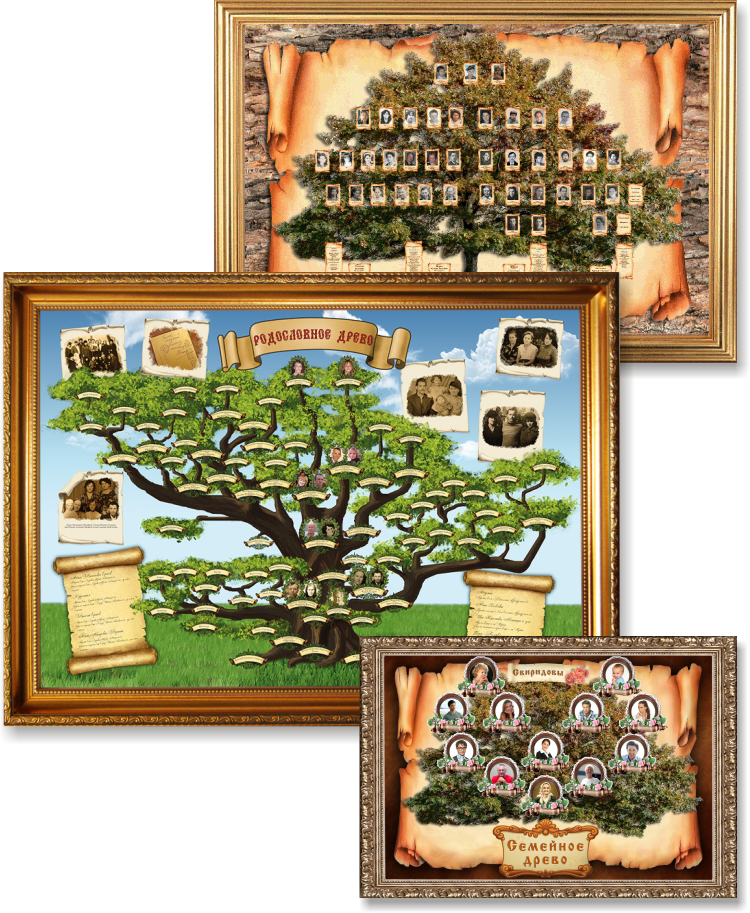 Настольная игра «Семейное древо»