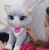 Интерактивная игрушка «Котенок Бутси»