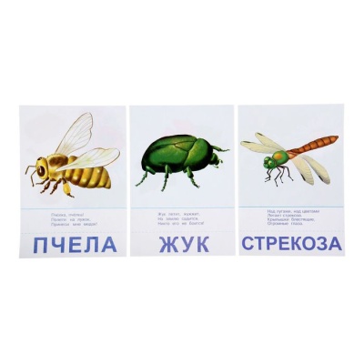 Настольная игра самым маленьким «Птицы и насекомые», Радуга Настольная игра самым маленьким «Птицы и насекомые», Радуга
