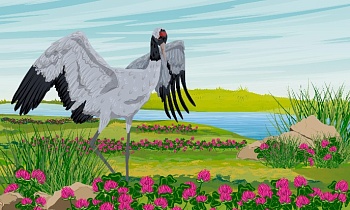 Журавль и Цапля Журавль и Цапля