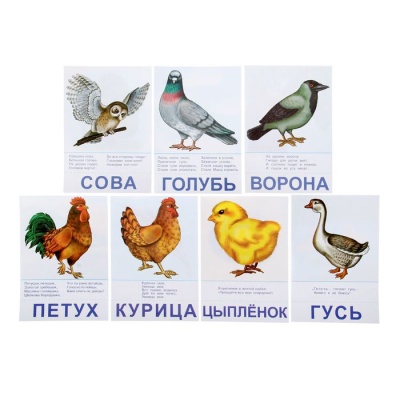 Настольная игра самым маленьким «Птицы и насекомые», Радуга Настольная игра самым маленьким «Птицы и насекомые», Радуга