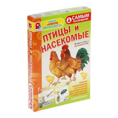 Настольная игра самым маленьким «Птицы и насекомые», Радуга Настольная игра самым маленьким «Птицы и насекомые», Радуга