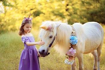 Детский праздник в стиле My Little Pony Детский праздник в стиле My Little Pony