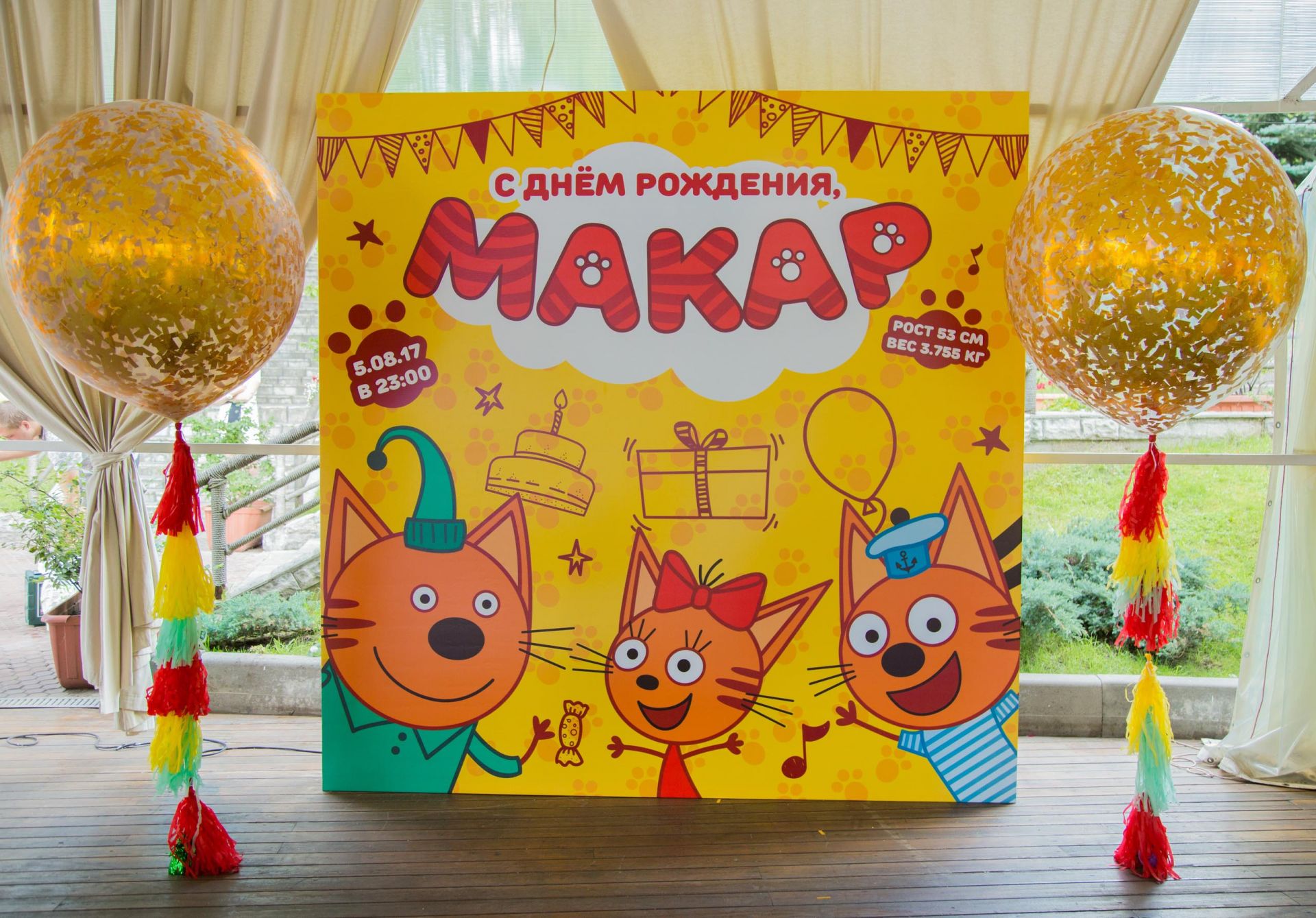 День рождения в стиле «Три кота»